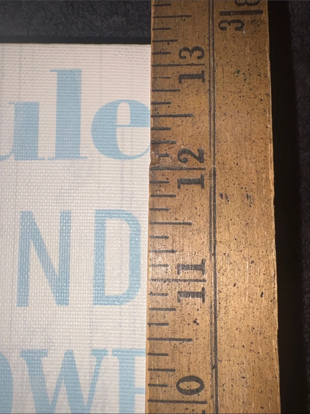 Kohl's Light Blue 'Bathroom Rules' Wall Sign